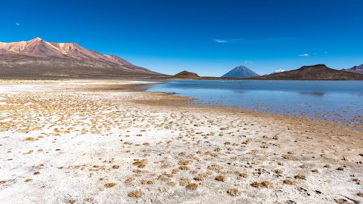 Excursão privada à Lagoa de Sal de Salinas: vida selvagem e vulcões de alta altitude — photo 12