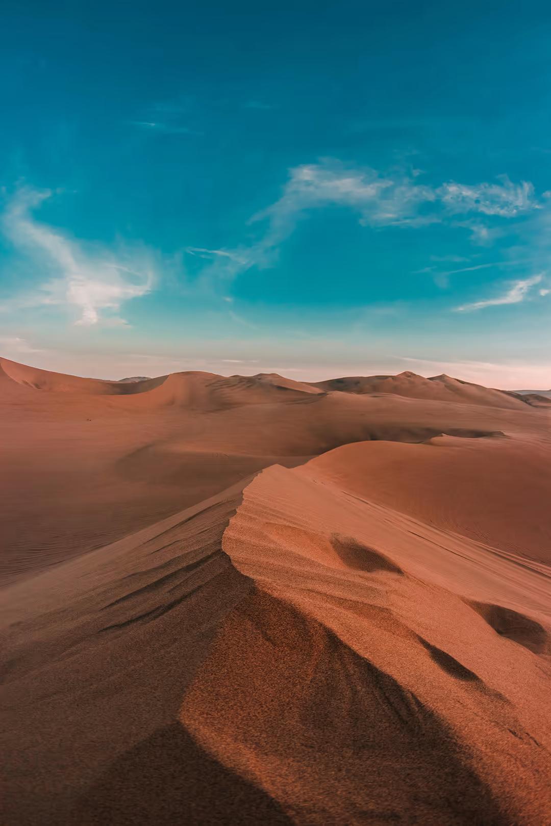 Private Paracas & Huacachina Full Day from Lima: Wildlife, Dunes & Pisco — photo 13