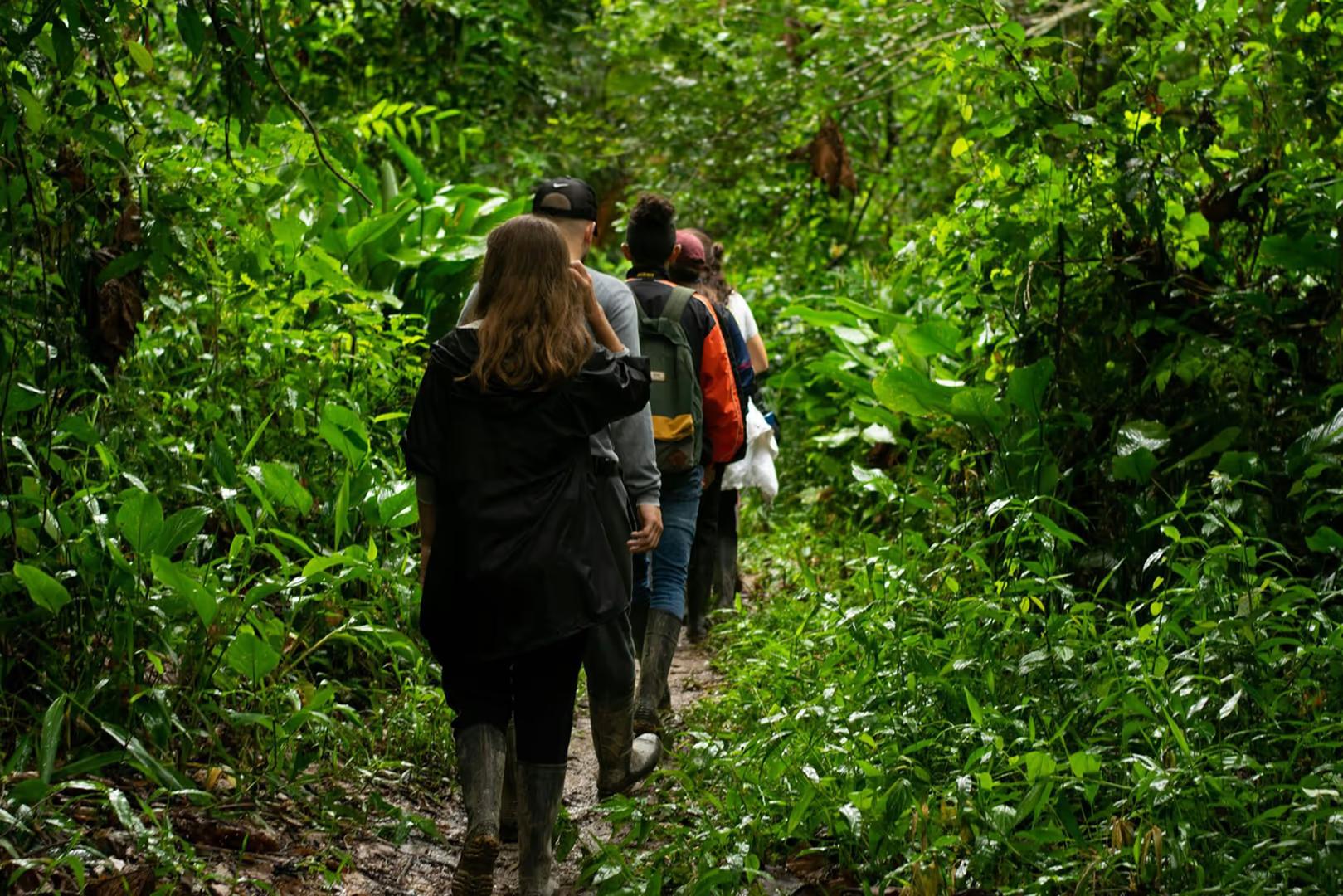 Imersão na selva amazônica (Iquitos) — 4D/3N
