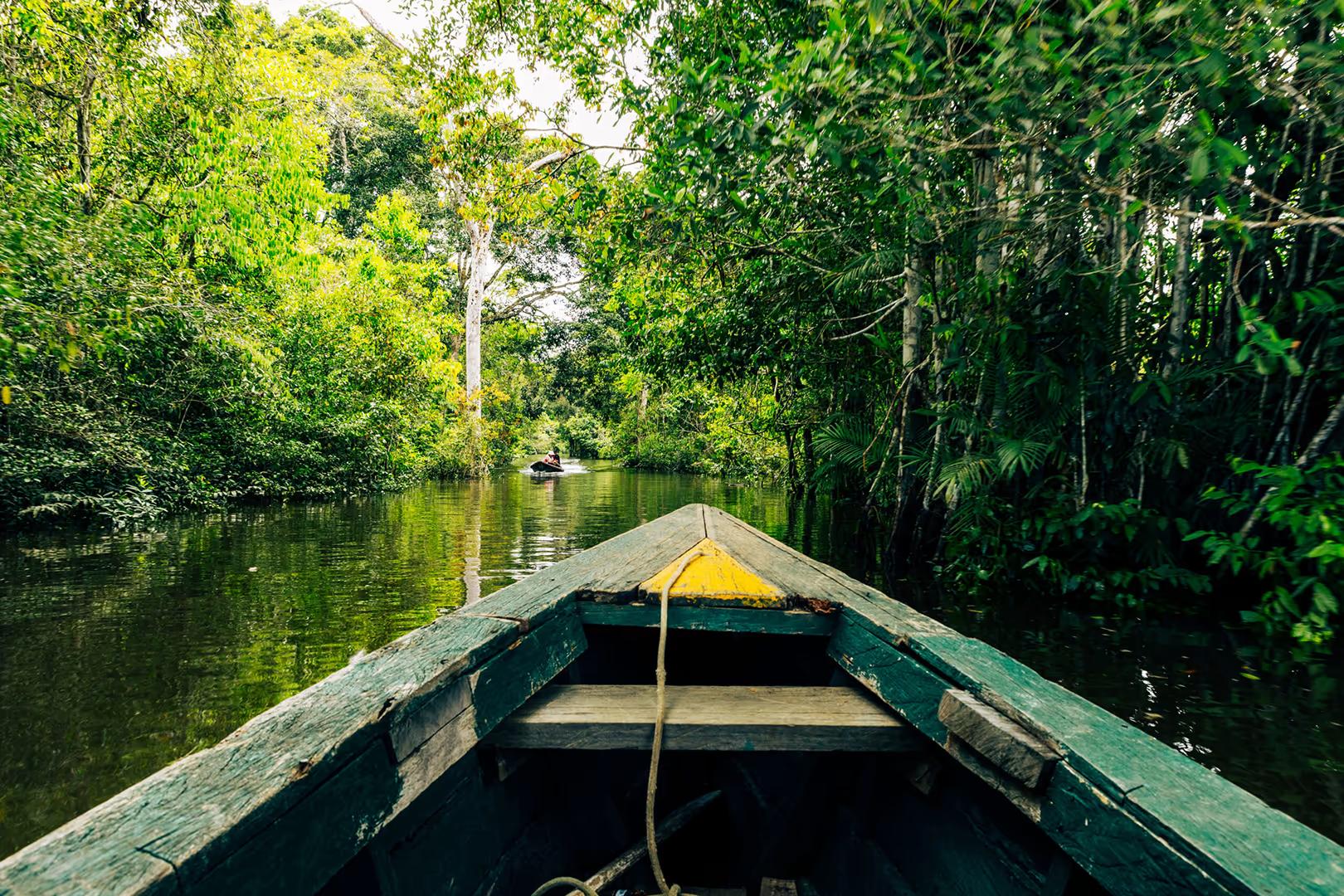 Imersão na selva amazônica (Iquitos) — 4D/3N — photo 8