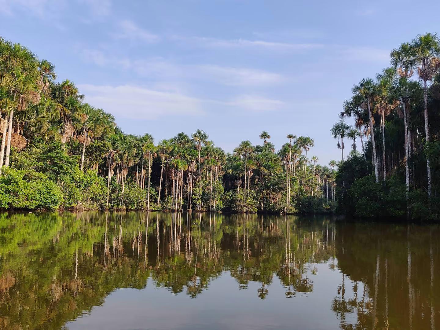 Natureza e aventura em Tambopata — 3D/2N