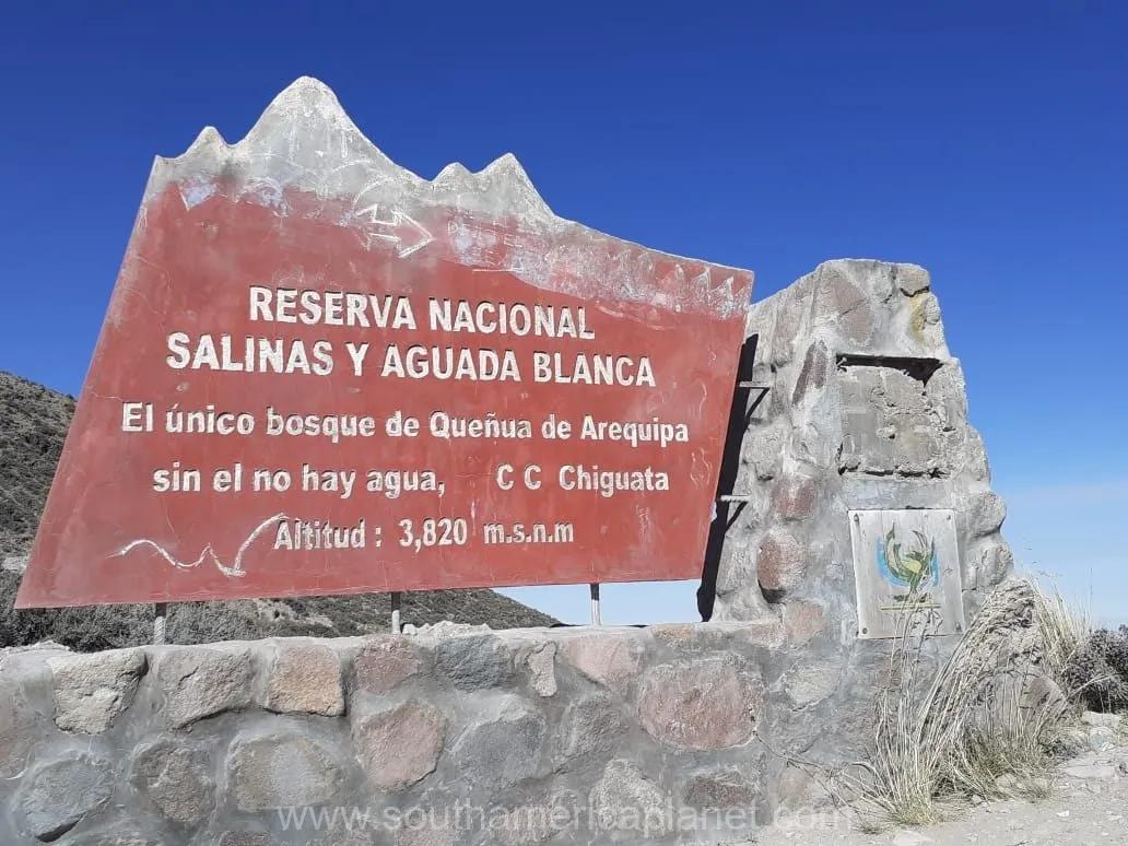 Excursão privada à Lagoa de Sal de Salinas: vida selvagem e vulcões de alta altitude — photo 13