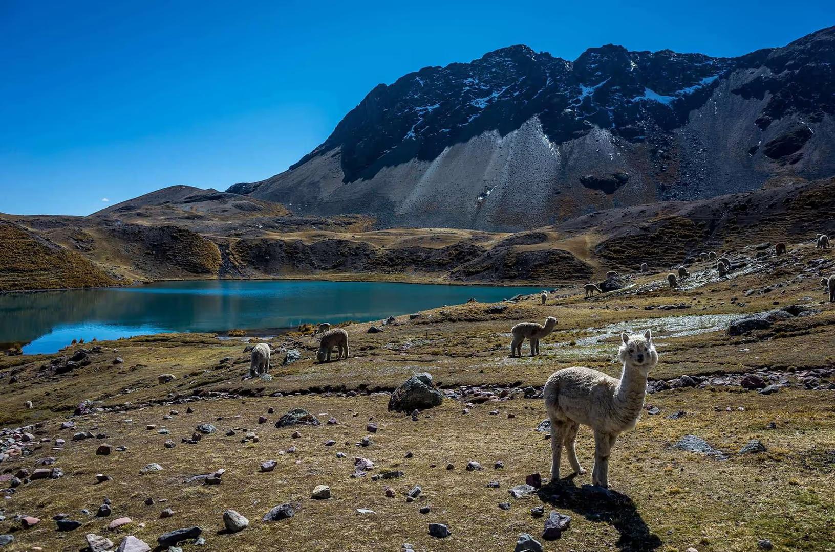 7 Lagos de Ausangate — Caminhada panorâmica em alta altitude
