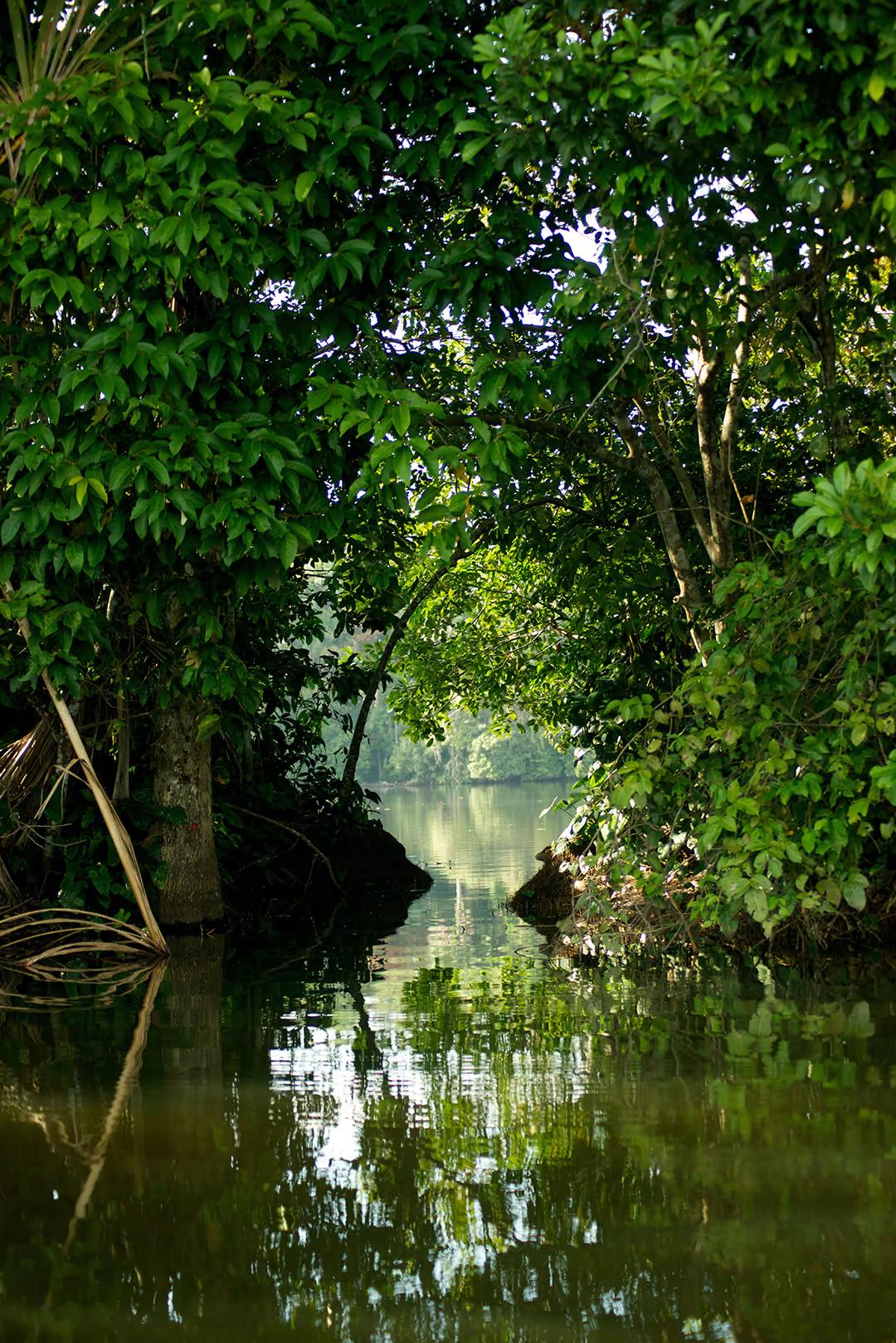 Tambopata Luxury Amazon Adventure – 4D/3N — photo 3