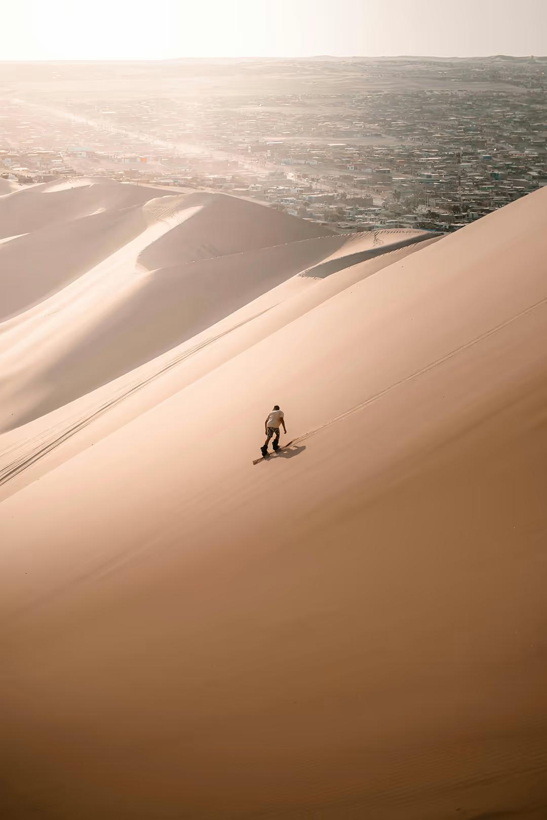 Private Paracas & Huacachina Full Day from Lima: Wildlife, Dunes & Pisco — photo 5