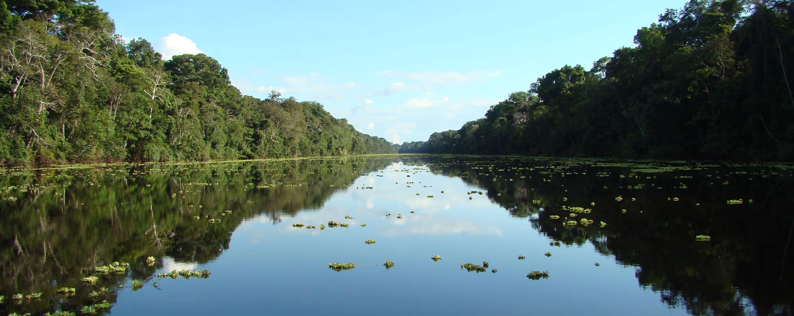 Imersão na selva amazônica (Iquitos) — 4D/3N — photo 6