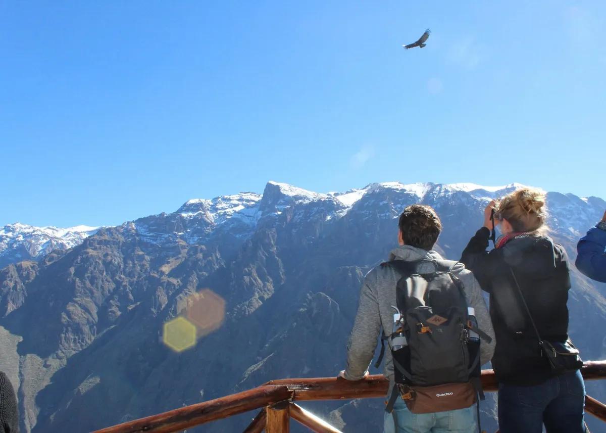 Tour privado de día completo al Cañón del Colca: Cruz del Cóndor y Altos Andes — photo 12