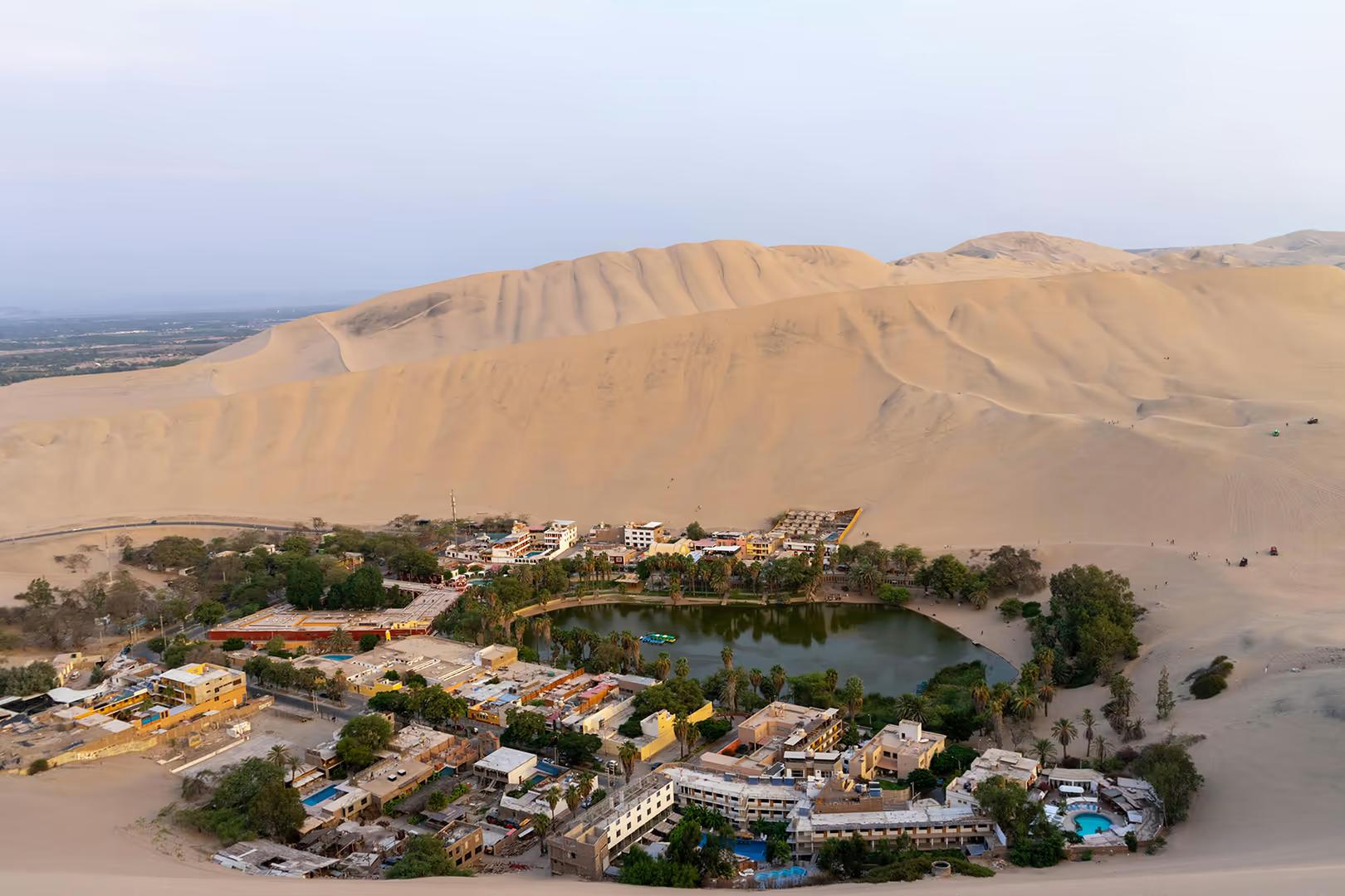 Private Paracas & Huacachina Full Day from Lima: Wildlife, Dunes & Pisco — photo 8