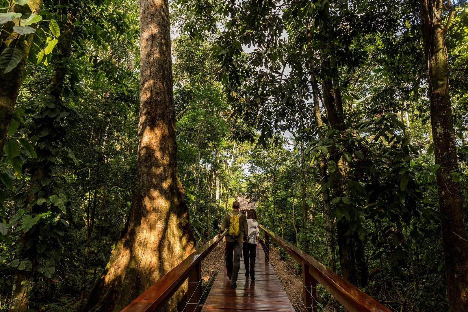 Tambopata Luxury Amazon Adventure – 4D/3N — photo 10