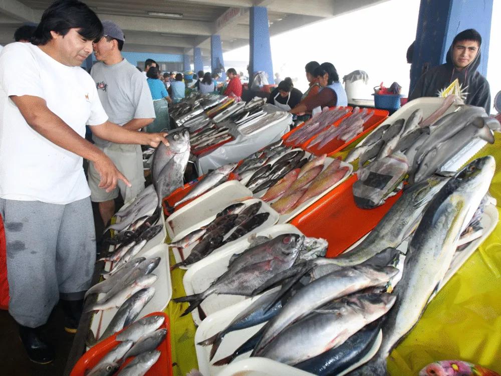 Mercado local e experiência culinária de Lima — photo 3