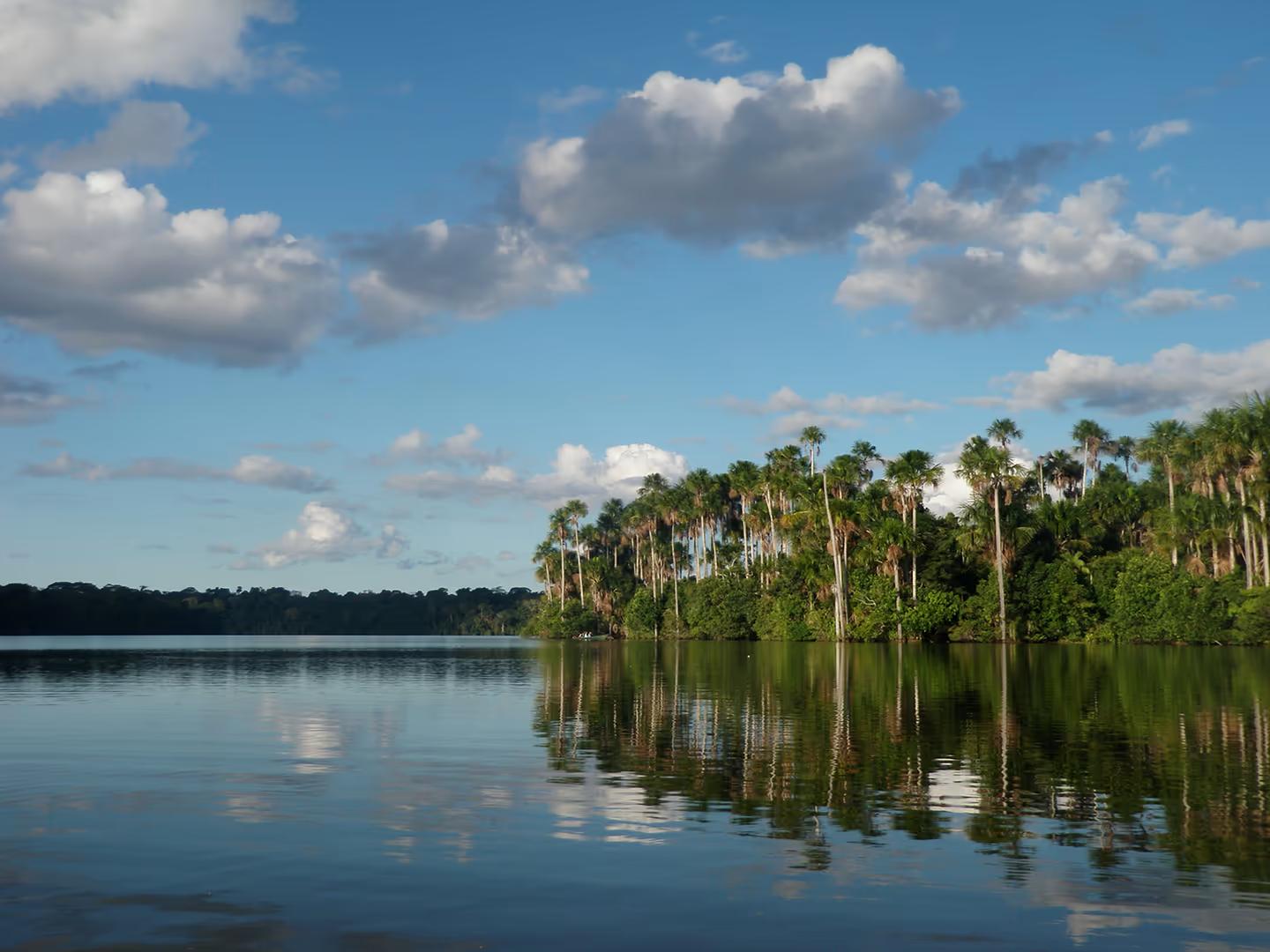 Tambopata Luxury Amazon Adventure – 4D/3N — photo 13