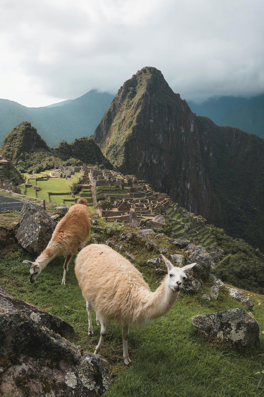 Dia inteiro em Machu Picchu — photo 5