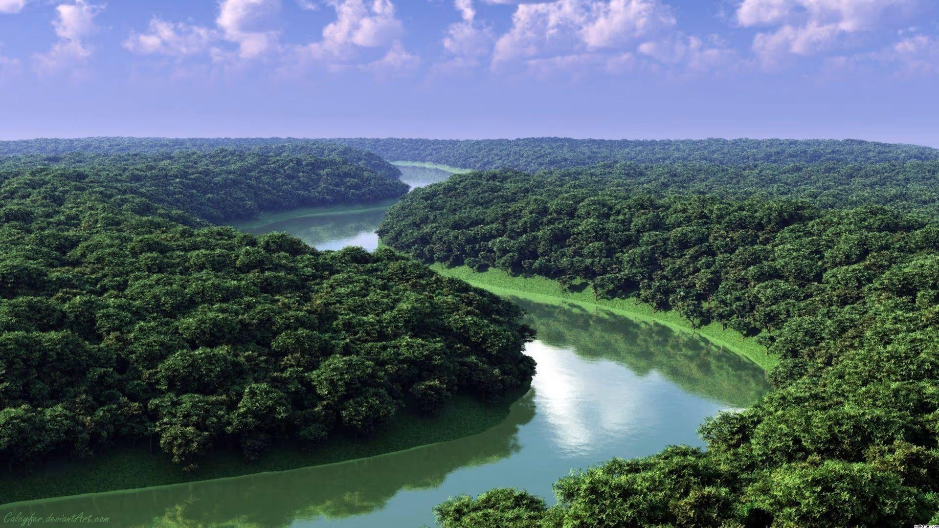 Imersão na selva amazônica (Iquitos) — 4D/3N — photo 1