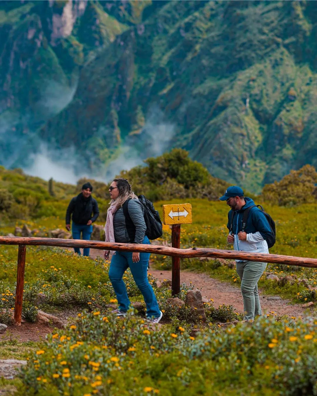 Tour privado de día completo al Cañón del Colca: Cruz del Cóndor y Altos Andes — photo 6