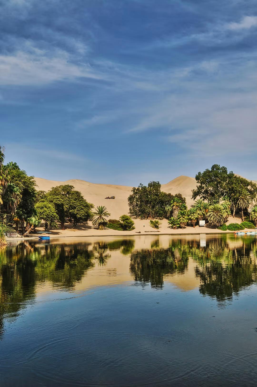 Private Paracas & Huacachina Full Day from Lima: Wildlife, Dunes & Pisco — photo 6