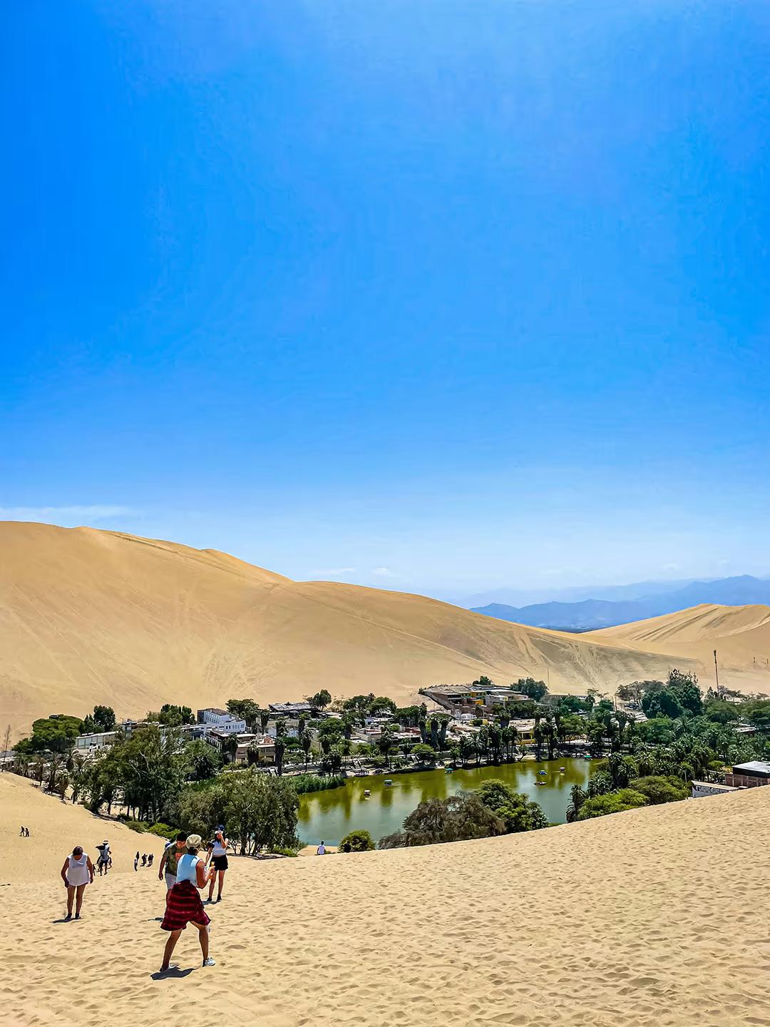 Dia inteiro privado de Paracas e Huacachina saindo de Lima: vida selvagem, dunas e pisco
