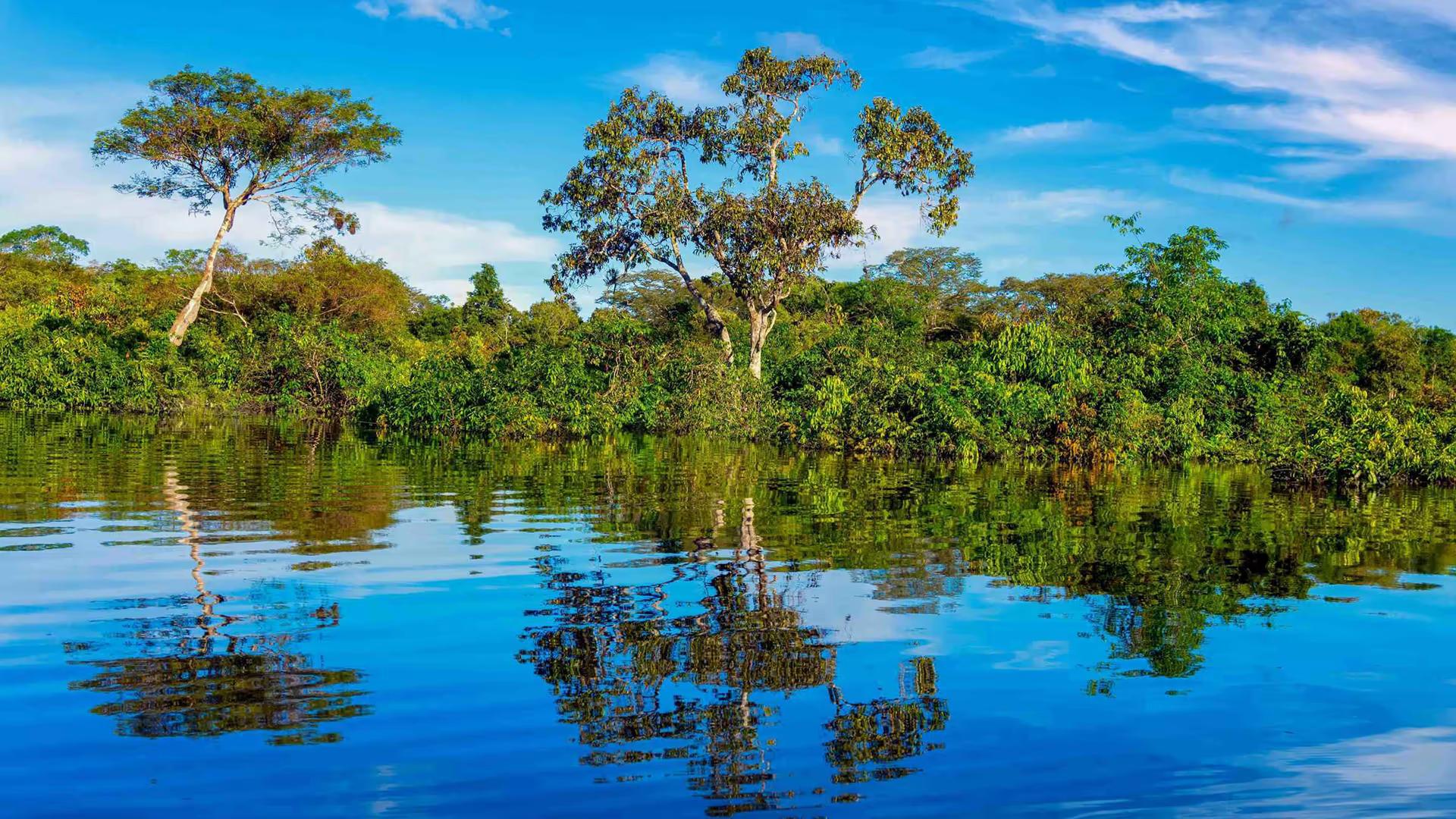 Imersão na selva amazônica (Iquitos) — 4D/3N — photo 5