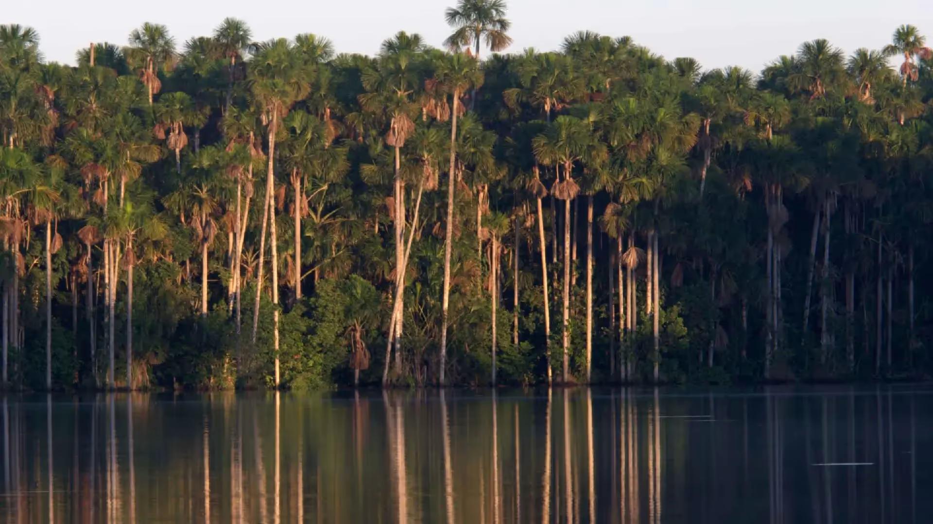 Tambopata Luxury Amazon Adventure – 4D/3N — photo 12